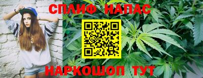 PSILOCYBIN Балахна