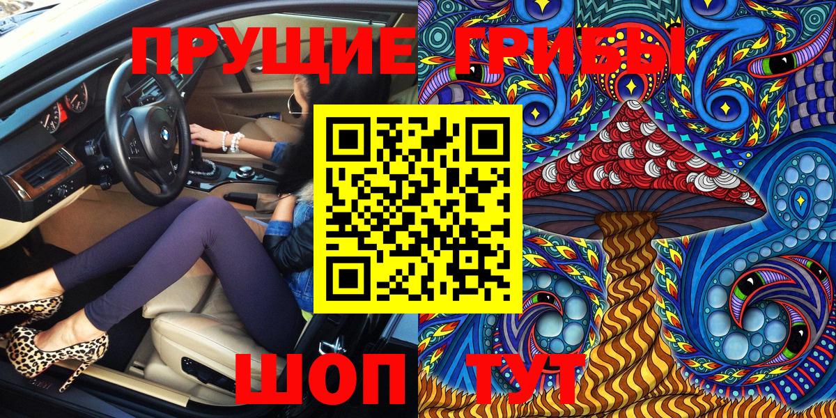 Галлюциногенные грибы Psilocybe Ессентуки