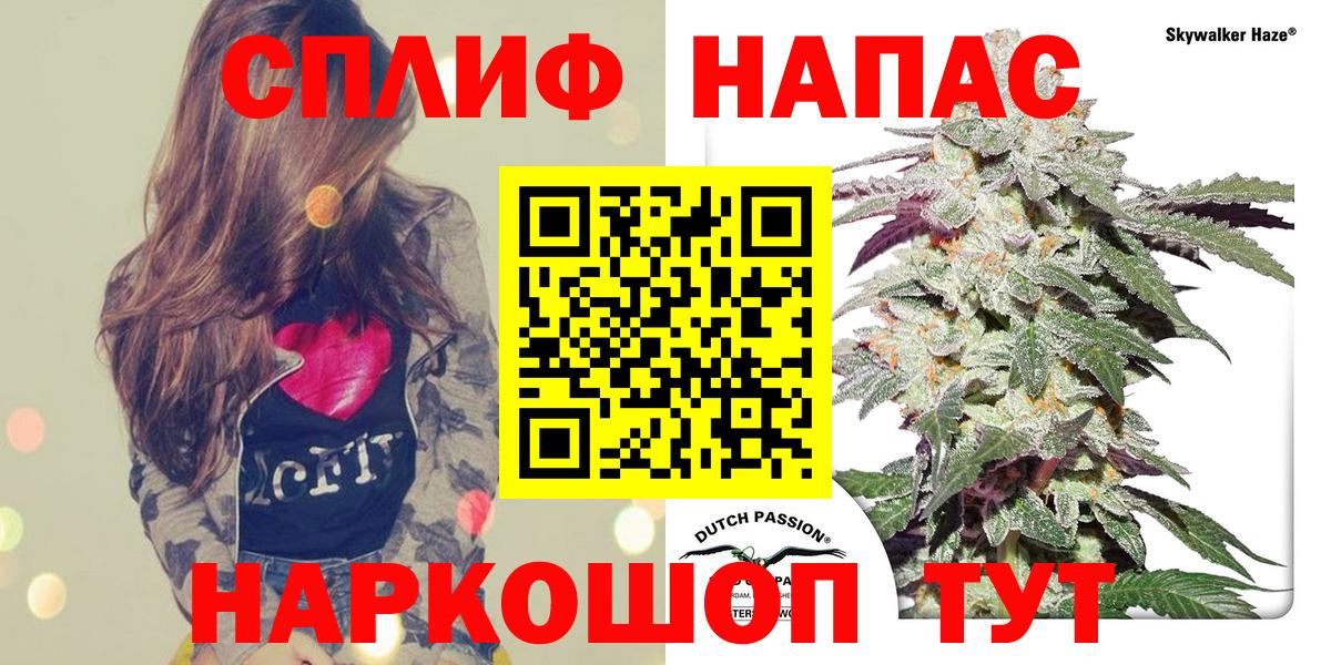 Ессентуки  Бошки Шишки ГИДРОПОН  Марихуана сатива  Вход с VPN  Конопля план 